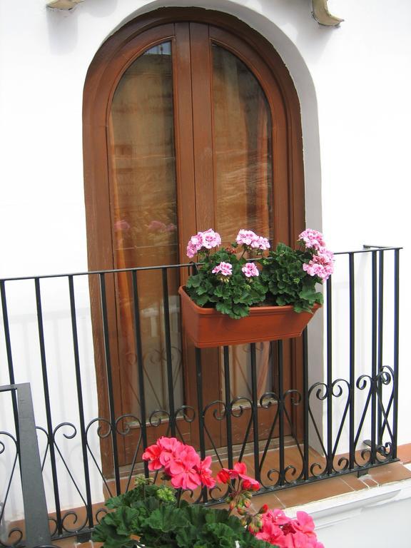 Pension Oliva Esterno foto