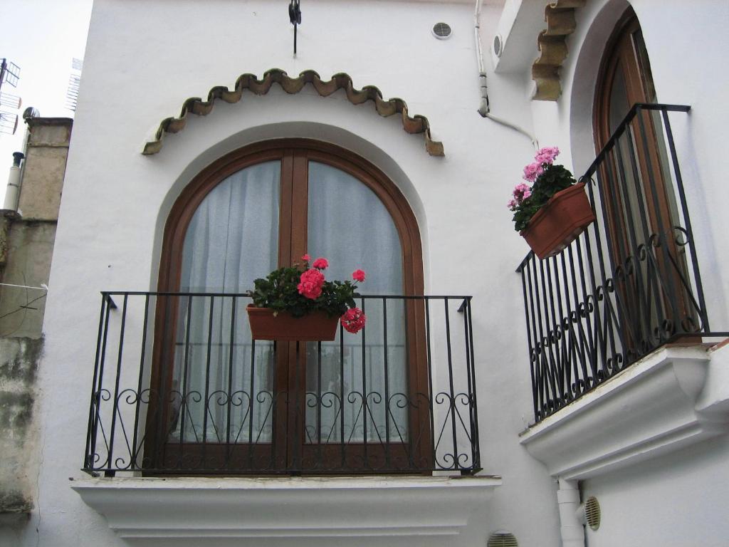 Pension Oliva Esterno foto